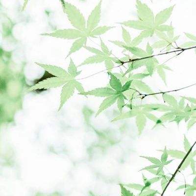 天剑诀后传手游官方版下载